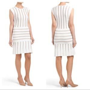 Torn by Ronny Kobo Beth Sleeveless Dress Small Silver Metallic Stripes White